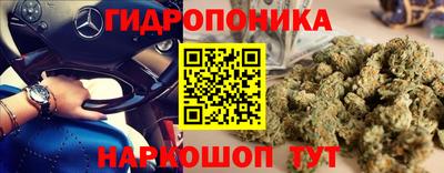 мдпв Краснознаменск